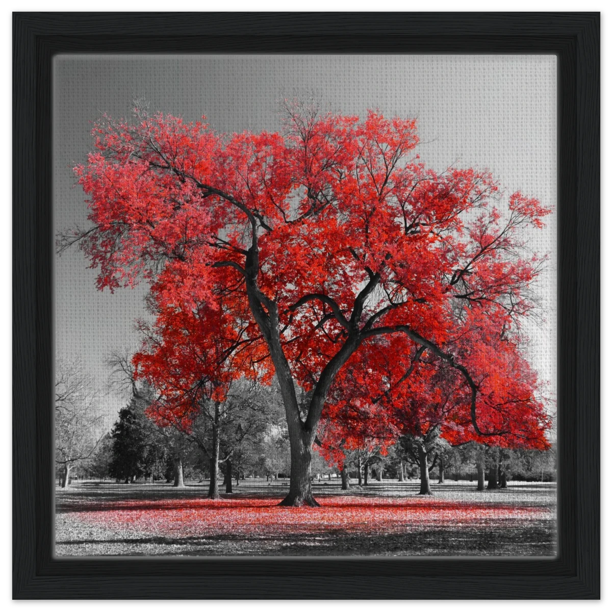 "Crimson Crown" – Monochrome Autumn Elegance | Wall Art Print - Framed Canvas - 30x30 cm / 12x12″ - Black frame