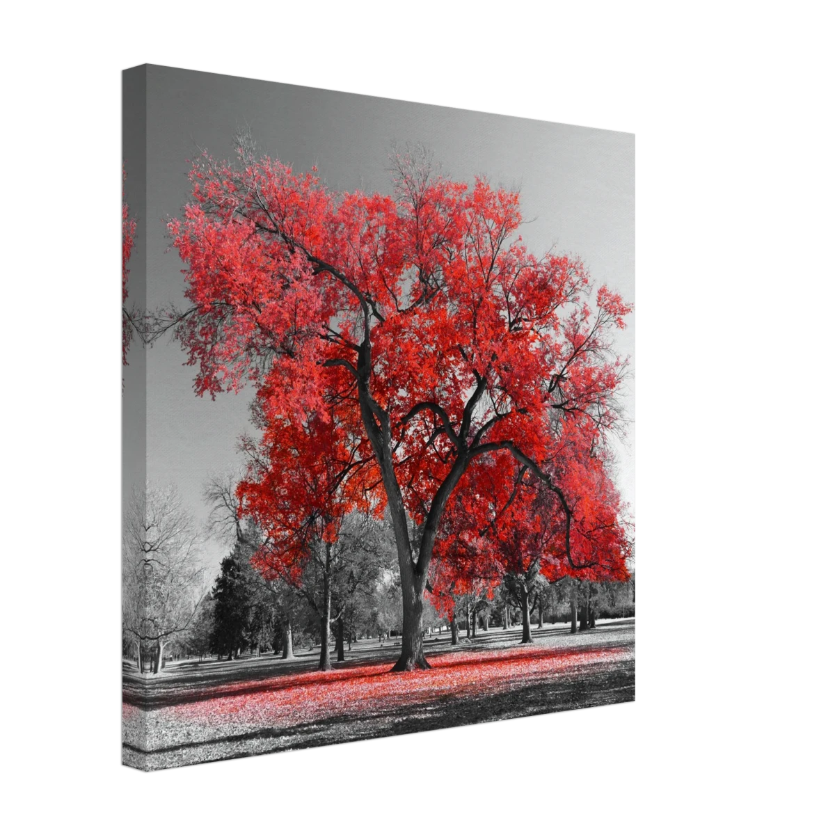 "Crimson Crown" – Monochrome Autumn Elegance | Wall Art Print - Canvas - 40x40 cm / 16x16″ -