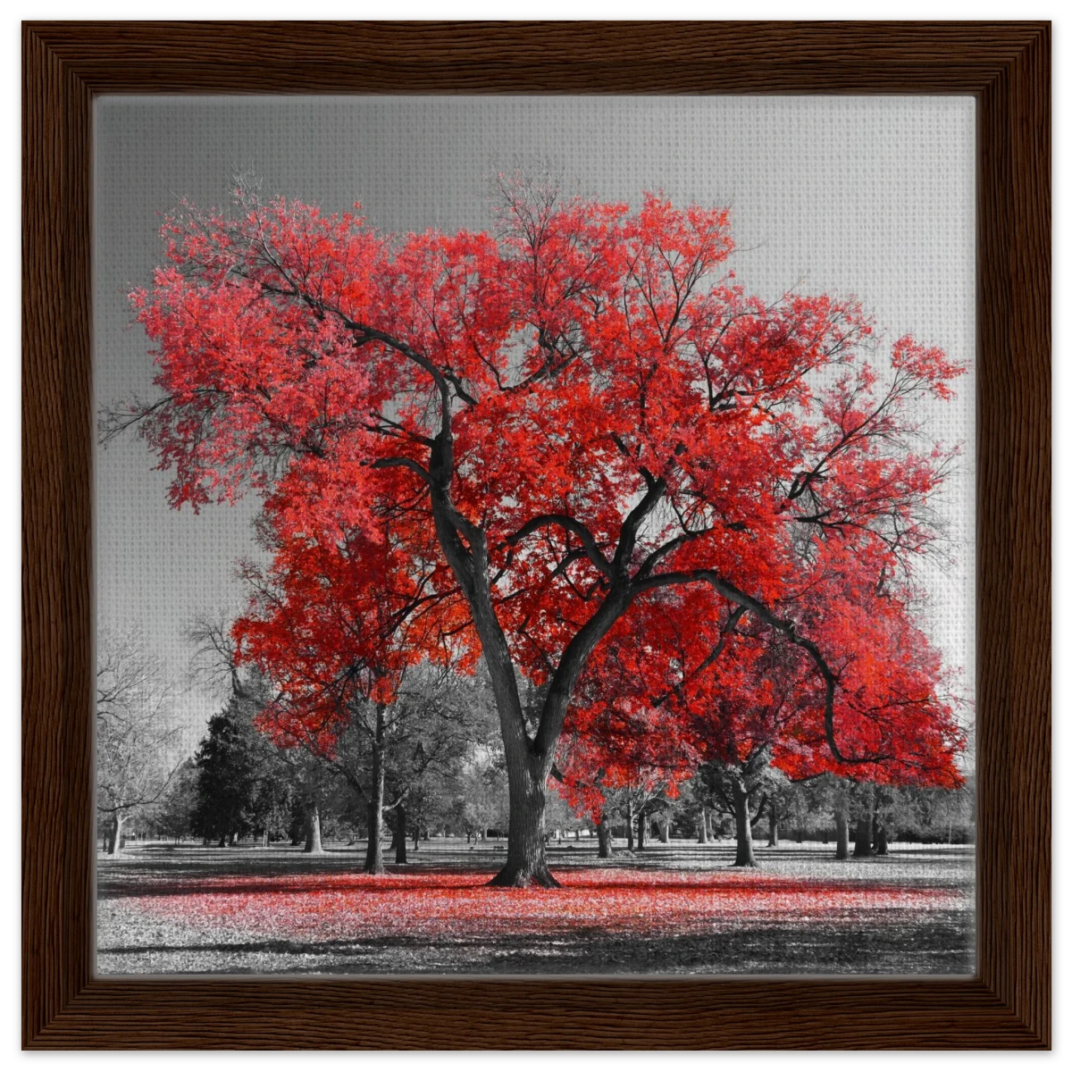 "Crimson Crown" – Monochrome Autumn Elegance | Wall Art Print - Framed Canvas - 30x30 cm / 12x12″ - Dark wood frame