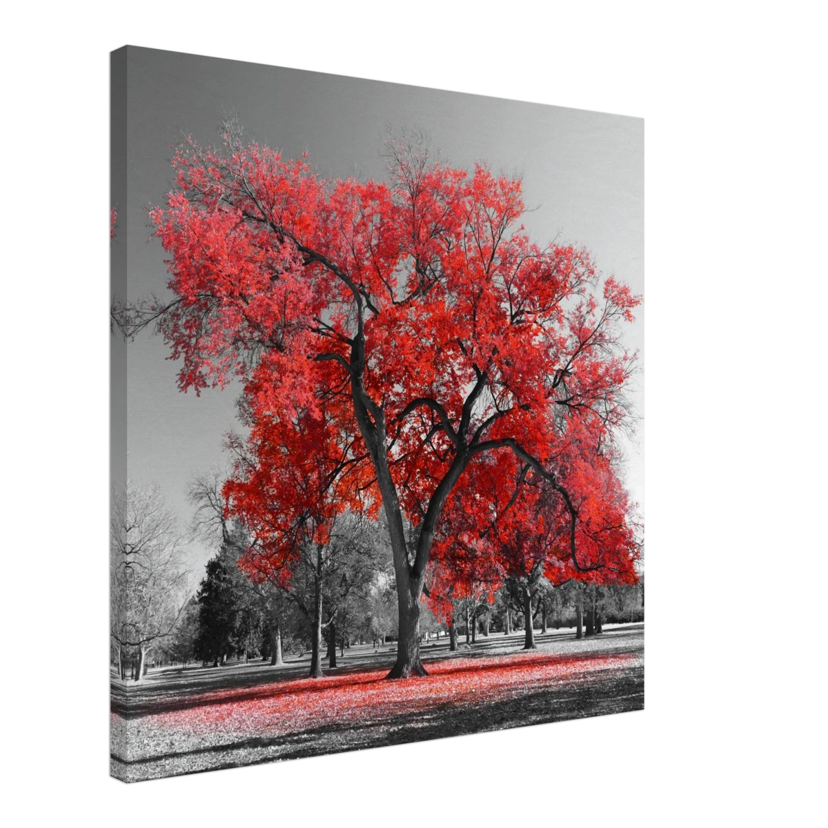 "Crimson Crown" – Monochrome Autumn Elegance | Wall Art Print - Canvas - 60x60 cm / 24x24″ -