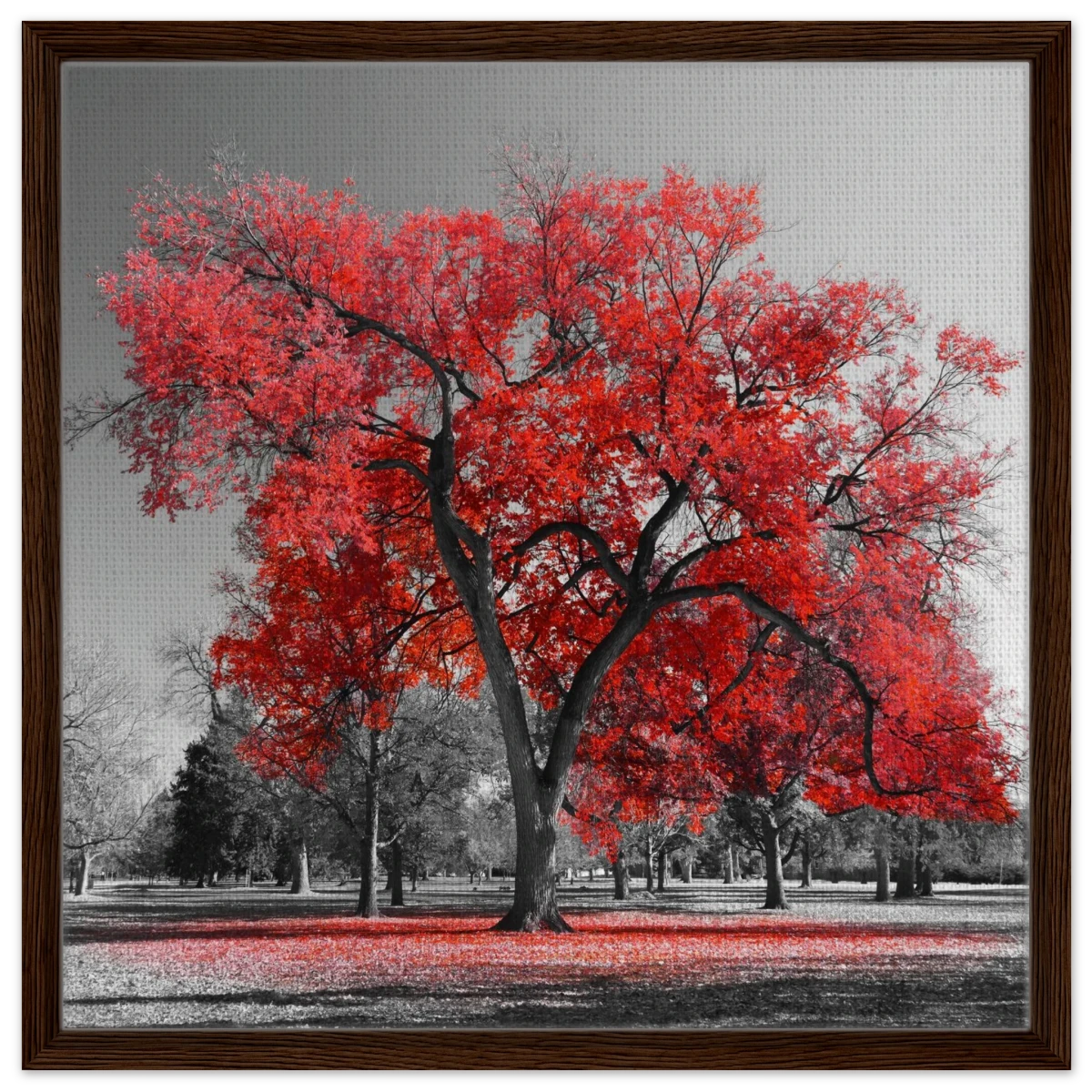 "Crimson Crown" – Monochrome Autumn Elegance | Wall Art Print - Framed Canvas - 60x60 cm / 24x24″ - Dark wood frame