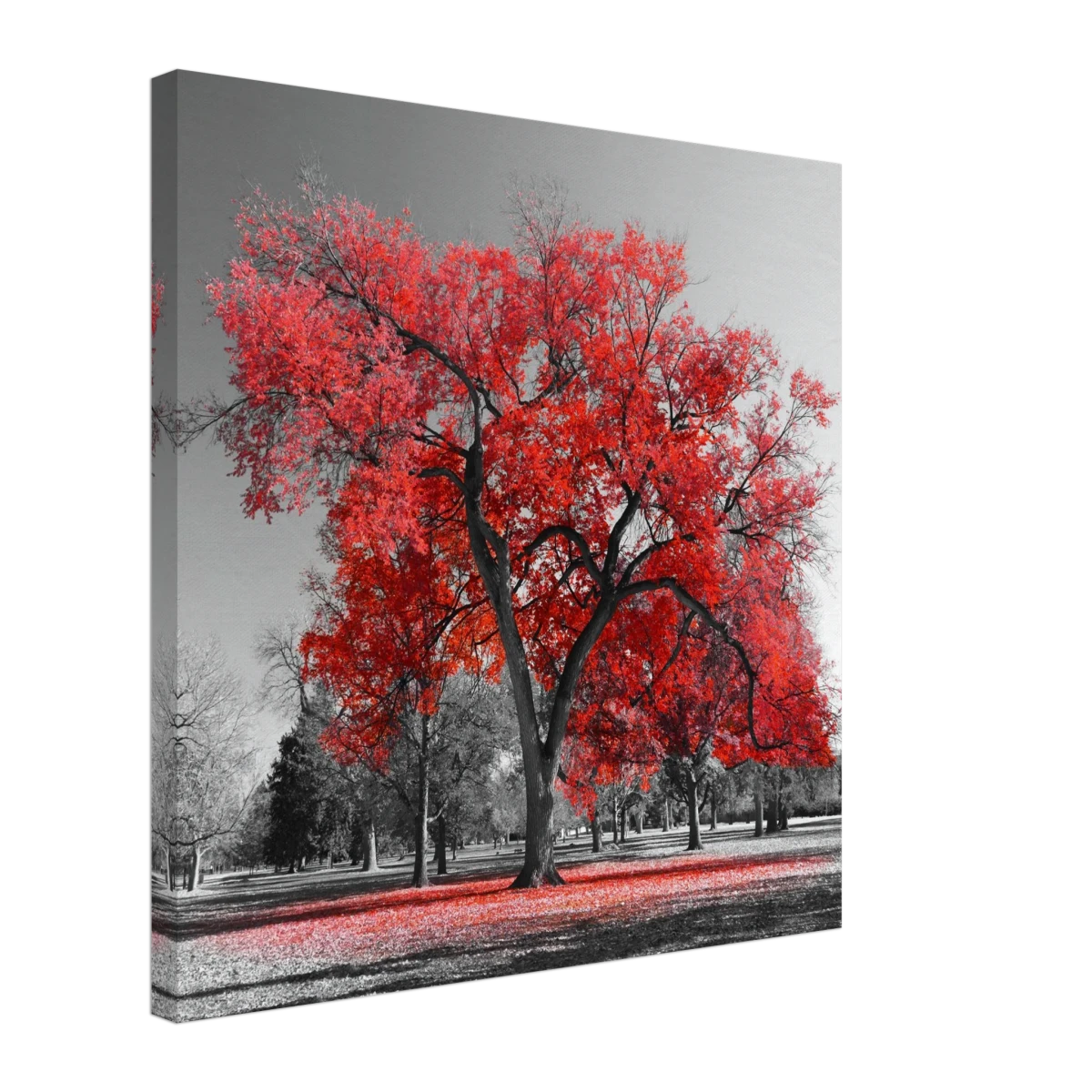 "Crimson Crown" – Monochrome Autumn Elegance | Wall Art Print - Canvas - 50x50 cm / 20x20″ -