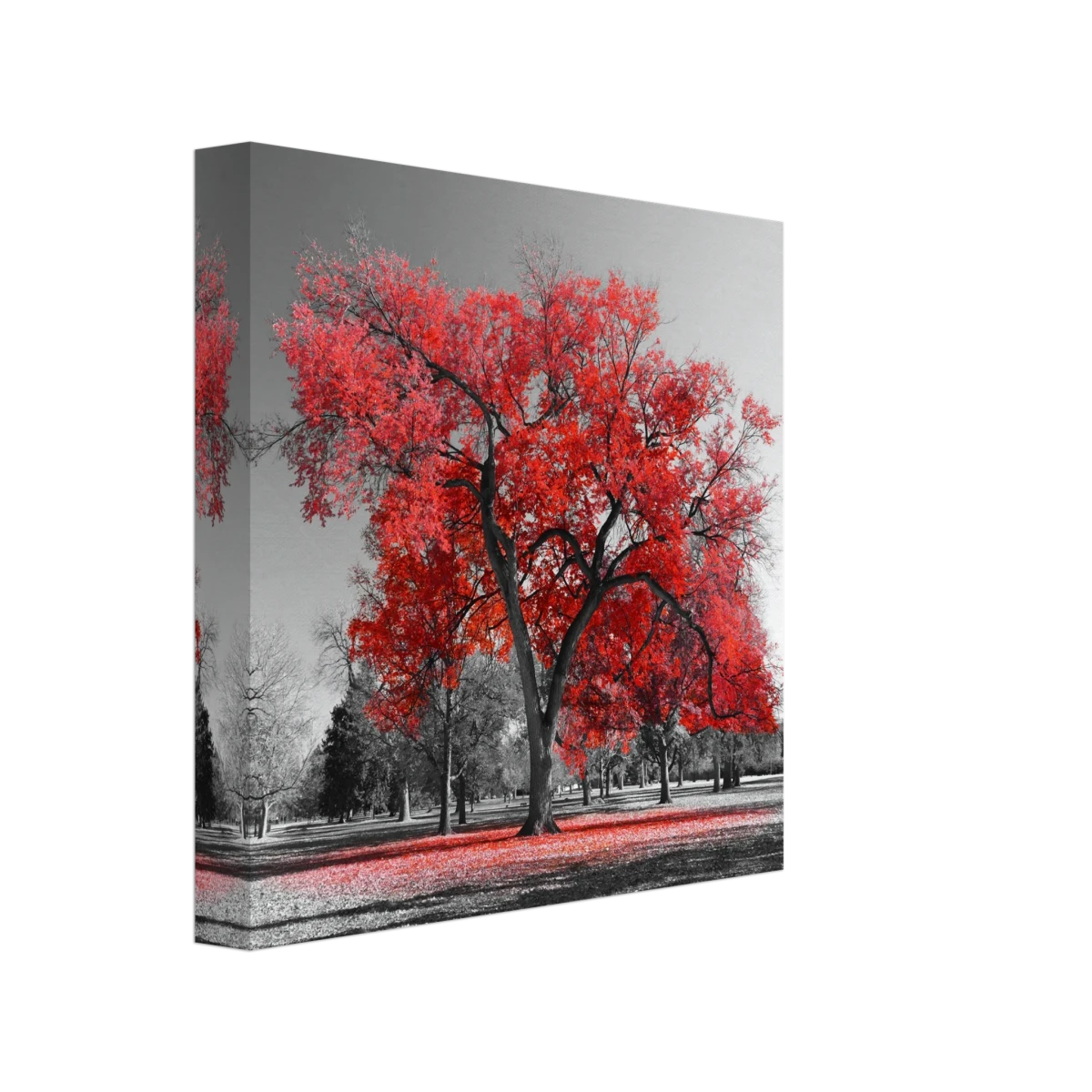 "Crimson Crown" – Monochrome Autumn Elegance | Wall Art Print - Canvas - 20x20 cm / 8x8″ -