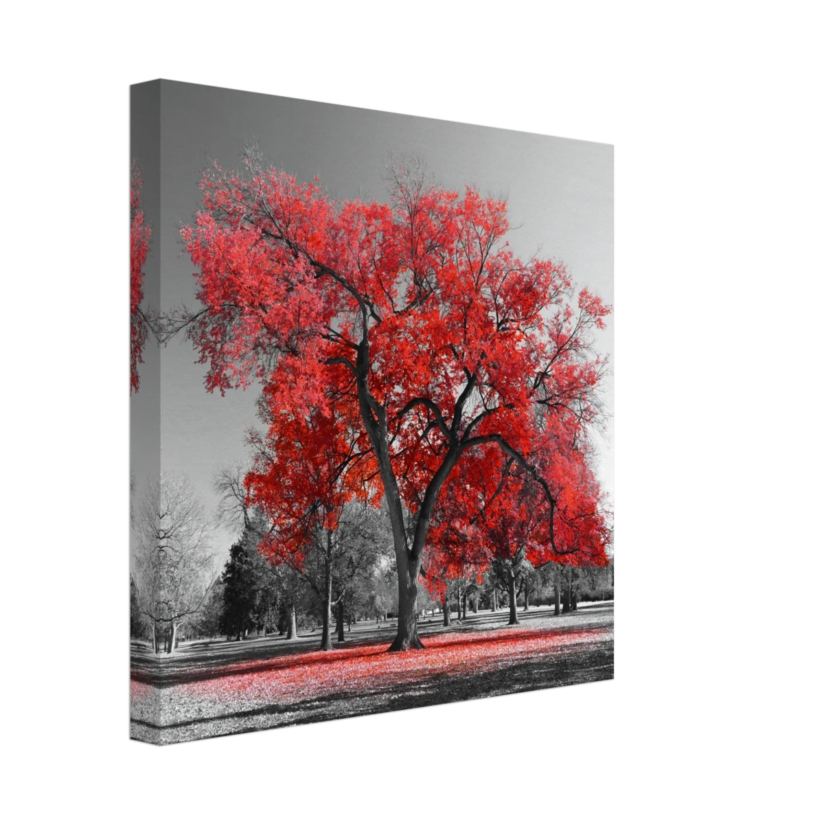 "Crimson Crown" – Monochrome Autumn Elegance | Wall Art Print - Canvas - 30x30 cm / 12x12″ -