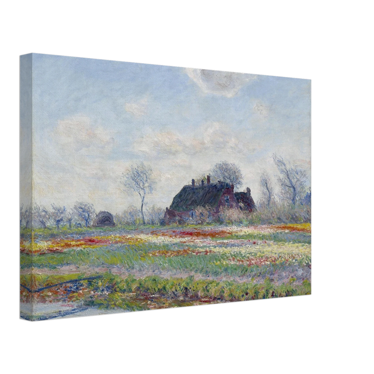 d1232cd7-0443-4bfa-997c-d556c9d3a785