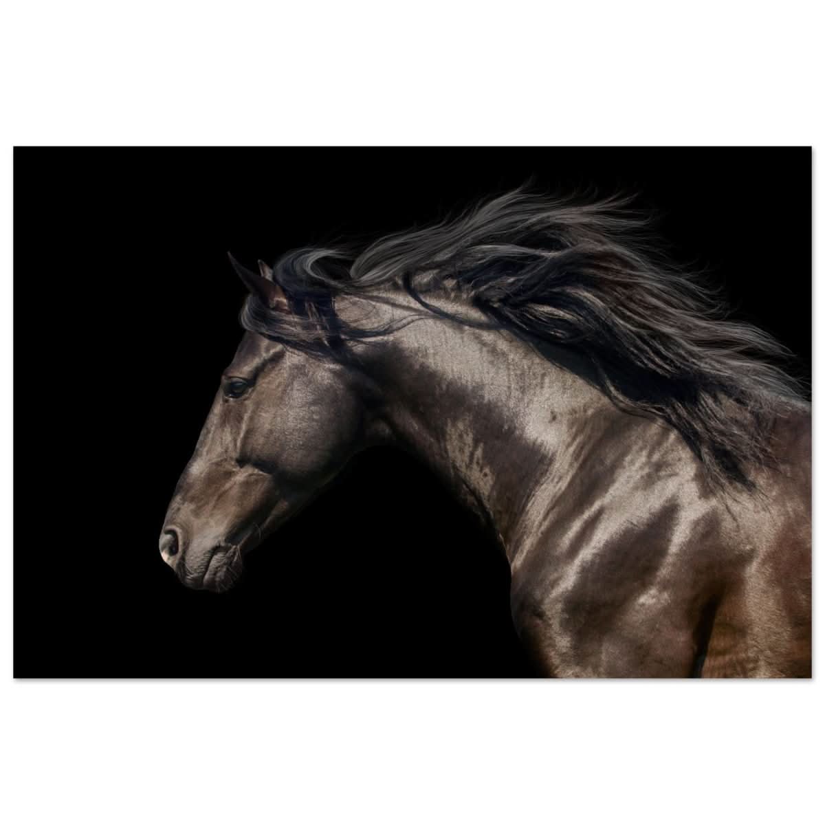 Da Vinci Animal Kingdom Art Wall art print | Brown horse - Aluminum Print - 40x60 cm / 16x24″ -