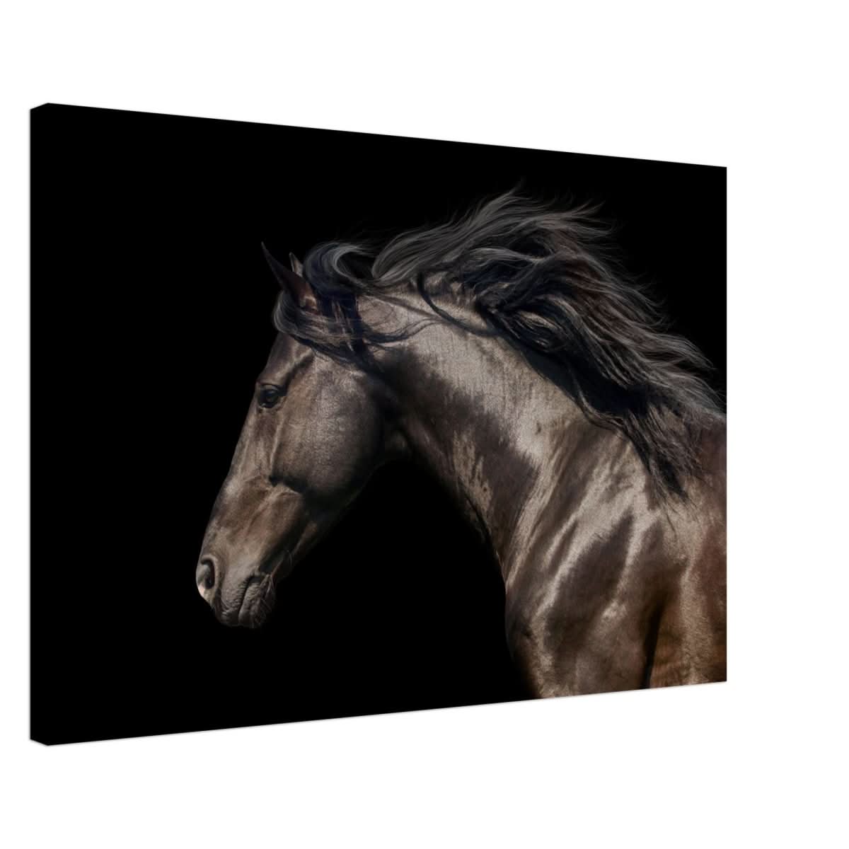 Da Vinci Animal Kingdom Art Wall art print | Brown horse - Canvas - 50x75 cm / 20x30″ -