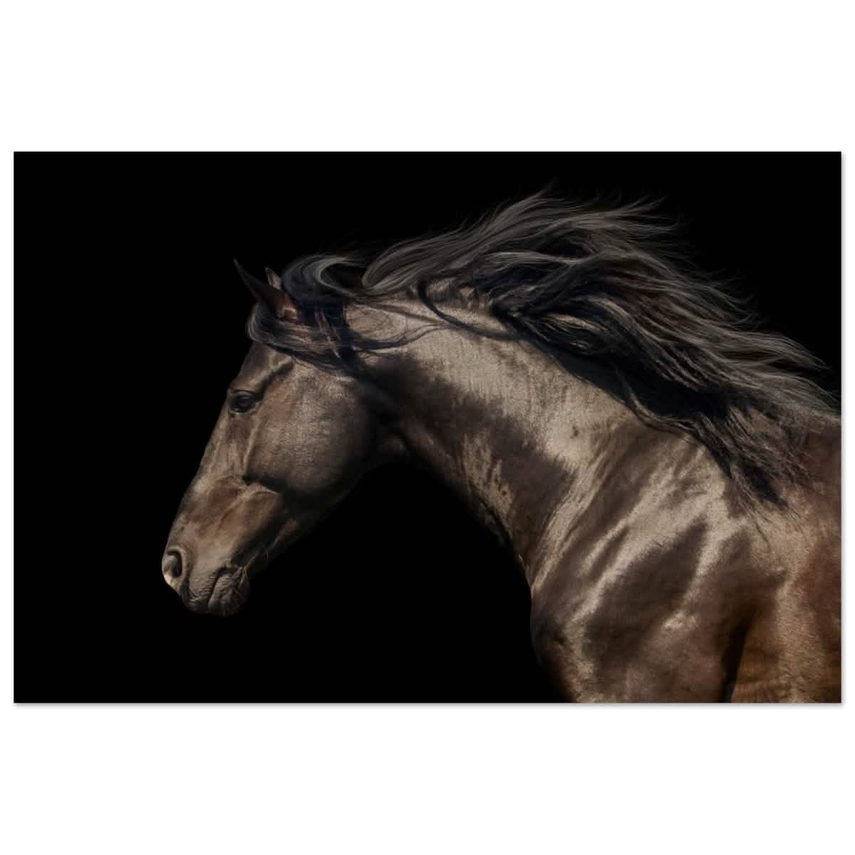 Da Vinci Animal Kingdom Art Wall art print | Brown horse - Wood Prints - 50x75 cm / 20x30″ -