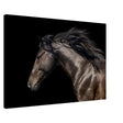 Da Vinci Animal Kingdom Art Wall art print | Brown horse - Canvas - 60x90 cm / 24x36″ -