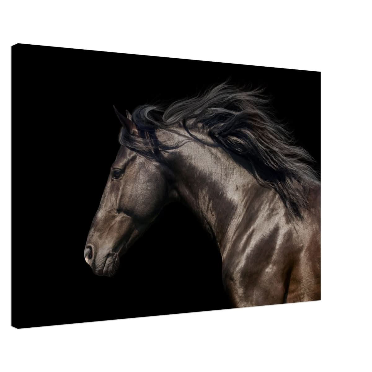 Da Vinci Animal Kingdom Art Wall art print | Brown horse - Canvas - 60x90 cm / 24x36″ -