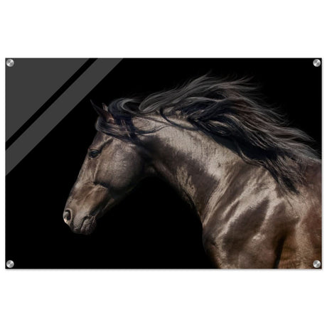 Da Vinci Animal Kingdom Art Wall art print | Brown horse - Acrylic Print - 60x90 cm / 24x36″ -