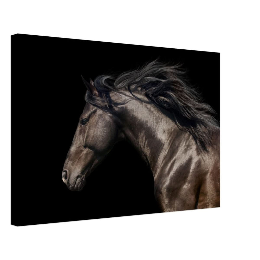 Da Vinci Animal Kingdom Art Wall art print | Brown horse - Canvas - 40x60 cm / 16x24″ -