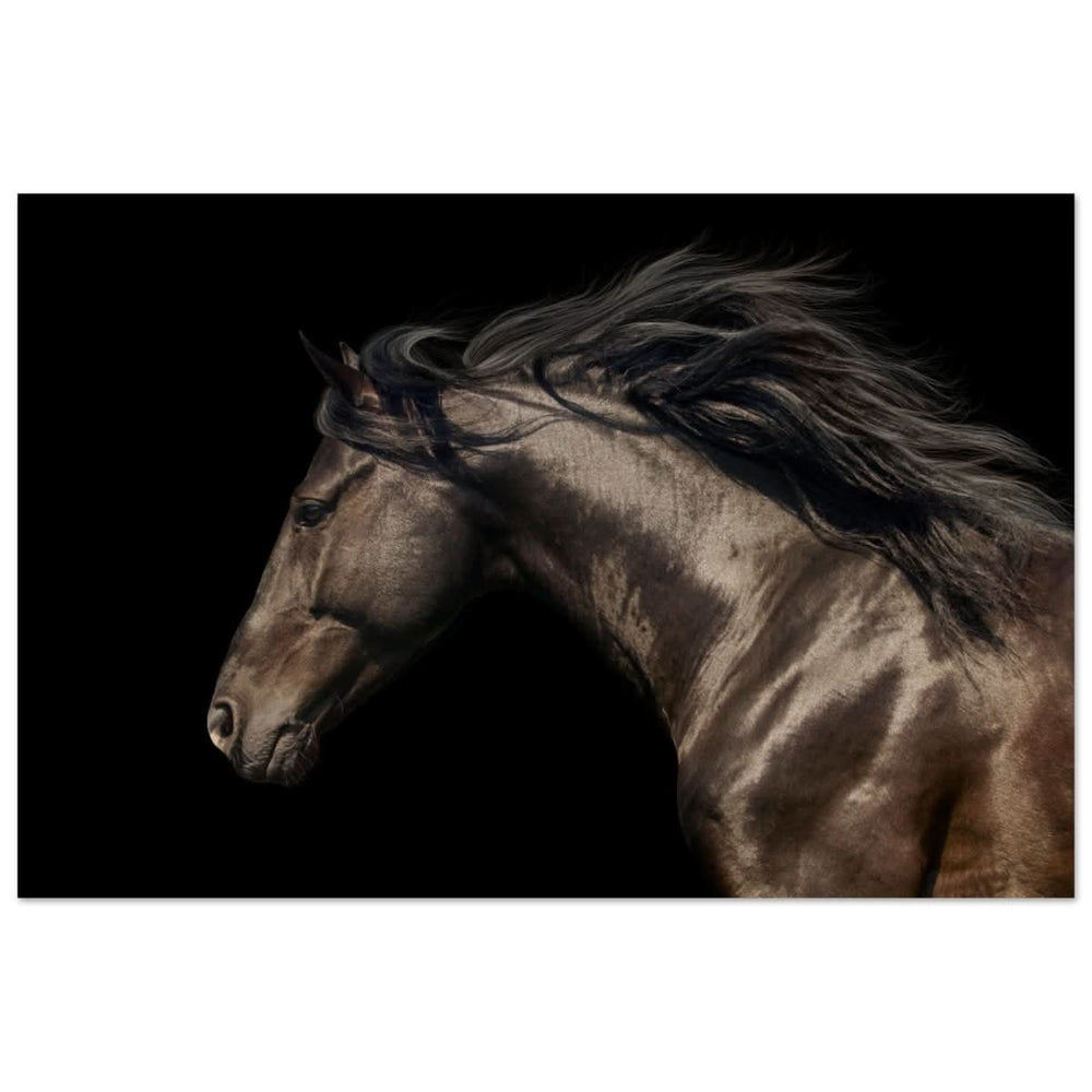 Da Vinci Animal Kingdom Art Wall art print | Brown horse - Wood Prints - 60x90 cm / 24x36″ -