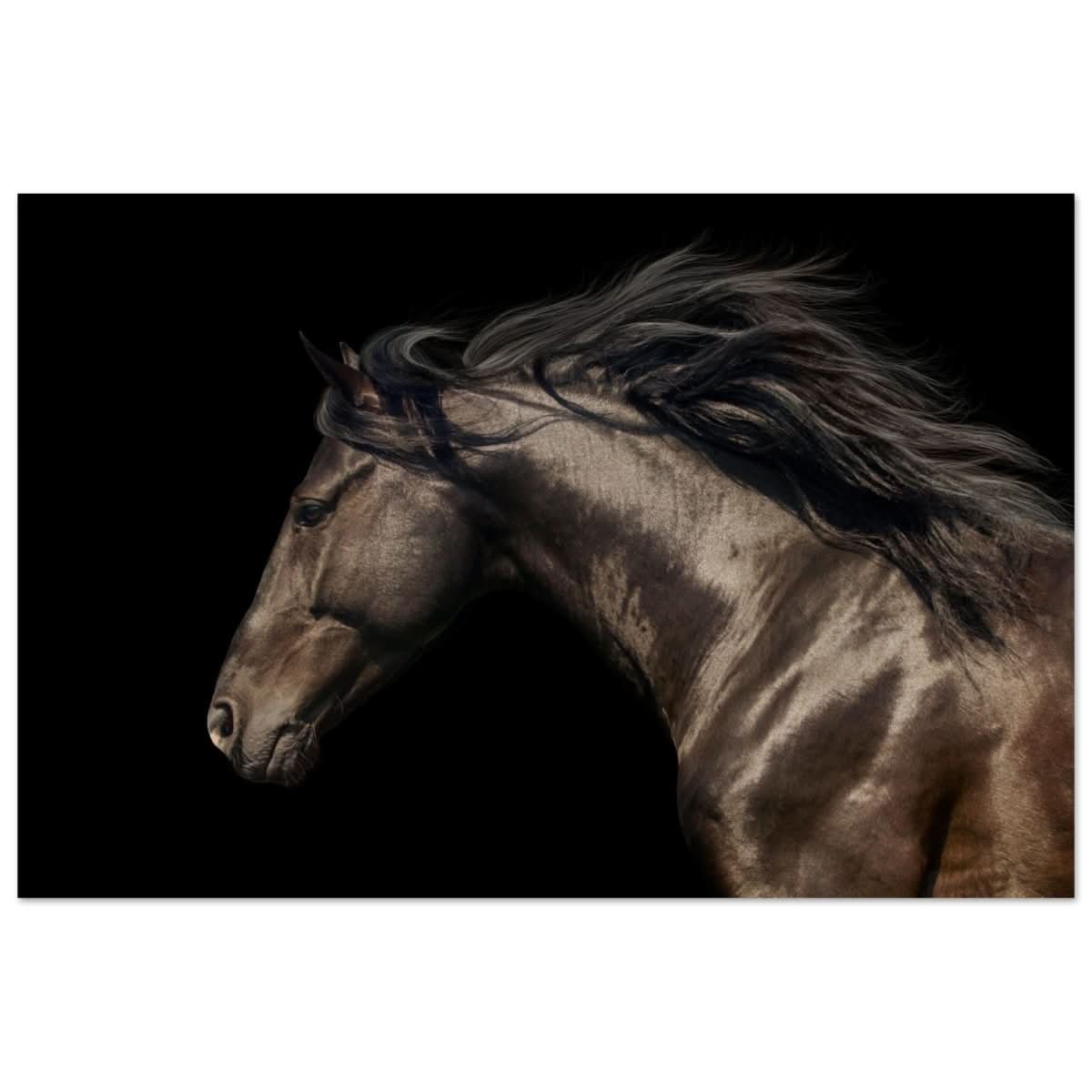 Da Vinci Animal Kingdom Art Wall art print | Brown horse - Wood Prints - 60x90 cm / 24x36″ -