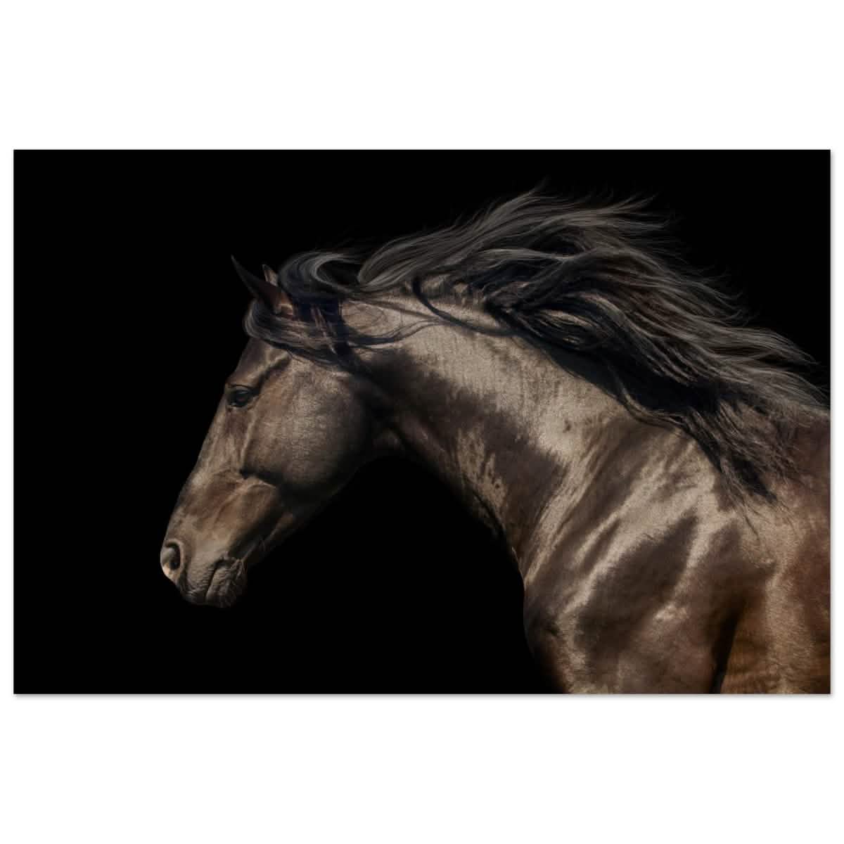 Da Vinci Animal Kingdom Art Wall art print | Brown horse - Wood Prints - 60x90 cm / 24x36″ -