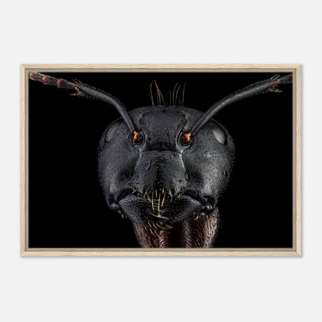 Da Vinci Animal Kingdom Art Wall art print | Dinomyrmex | Giant forest ant - Framed Canvas - 60x90 cm / 24x36″ - Wood frame