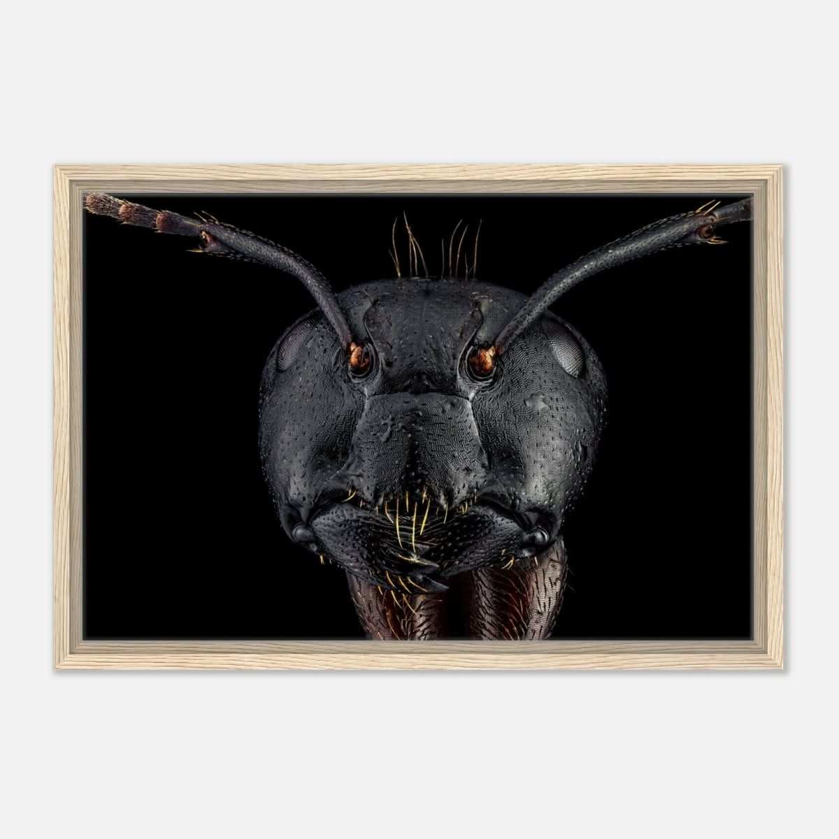 Da Vinci Animal Kingdom Art Wall art print | Dinomyrmex | Giant forest ant - Framed Canvas - 40x60 cm / 16x24″ - Wood frame