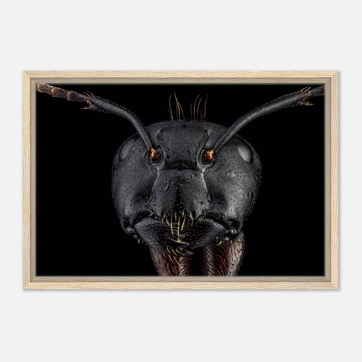 Da Vinci Animal Kingdom Art Wall art print | Dinomyrmex | Giant forest ant - Framed Canvas - 40x60 cm / 16x24″ - Wood frame