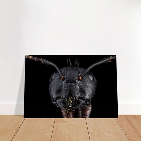 Da Vinci Animal Kingdom Art Wall art print | Dinomyrmex | Giant forest ant - Brushed Aluminum Print - 60x90 cm / 24x36″ -