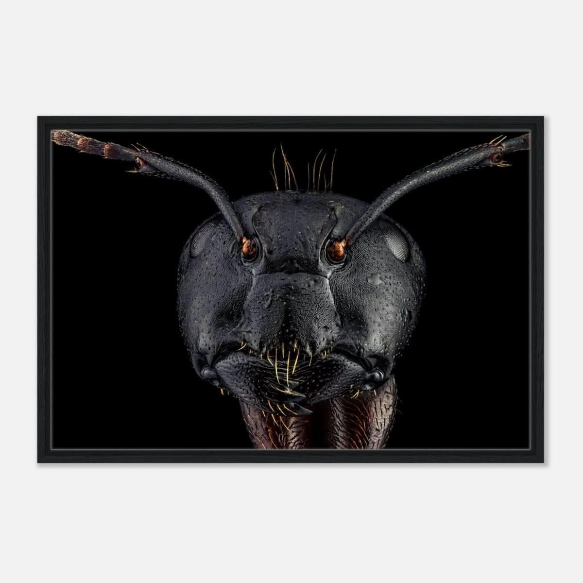 Da Vinci Animal Kingdom Art Wall art print | Dinomyrmex | Giant forest ant - Framed Canvas - 60x90 cm / 24x36″ - Black frame