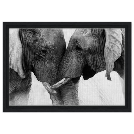 Da Vinci Animal Kingdom Art Wall art print | Elephant Love - Framed Canvas - 30x45 cm / 12x18″ - Black frame