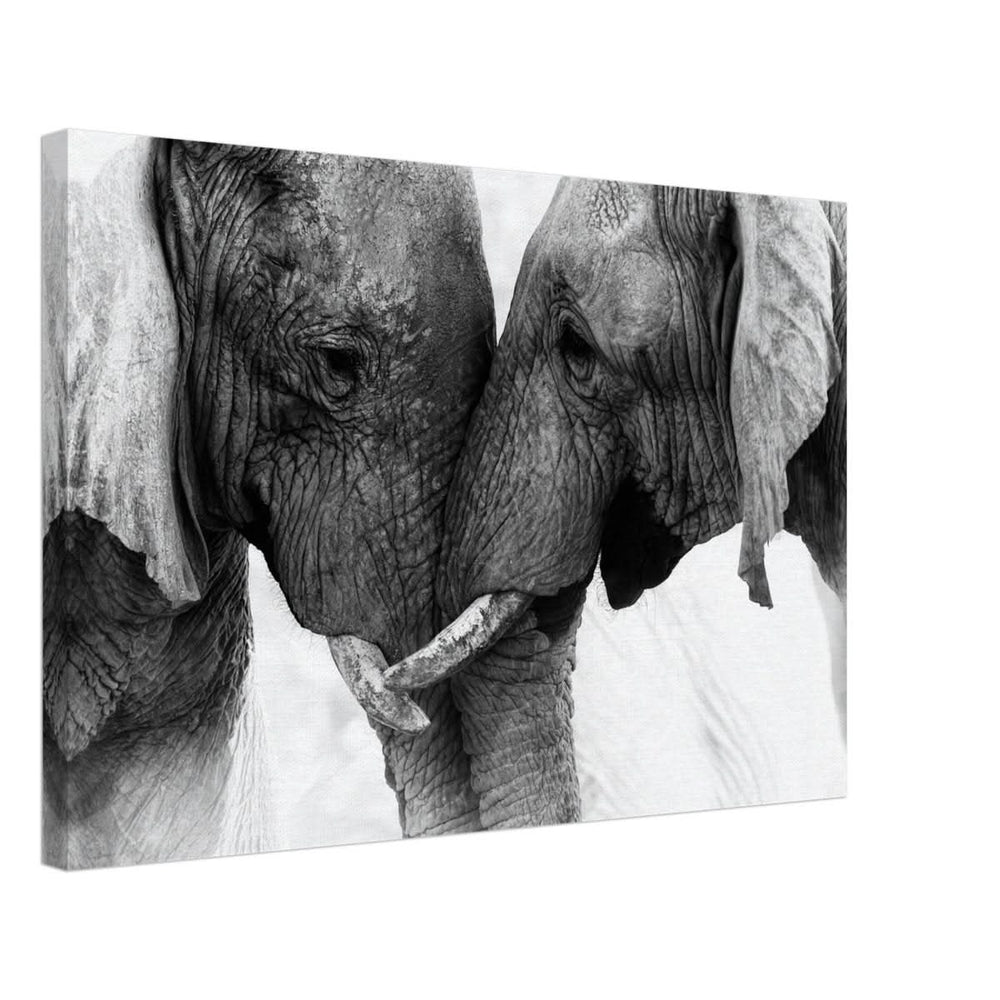 Da Vinci Animal Kingdom Art Wall art print | Elephant Love - Canvas - 40x60 cm / 16x24″ -