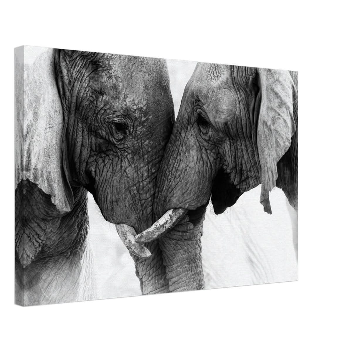 Da Vinci Animal Kingdom Art Wall art print | Elephant Love - Canvas - 40x60 cm / 16x24″ -