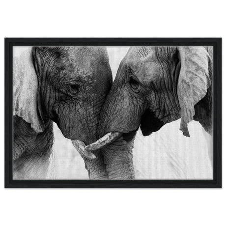 Da Vinci Animal Kingdom Art Wall art print | Elephant Love - Framed Canvas - 40x60 cm / 16x24″ - Black frame
