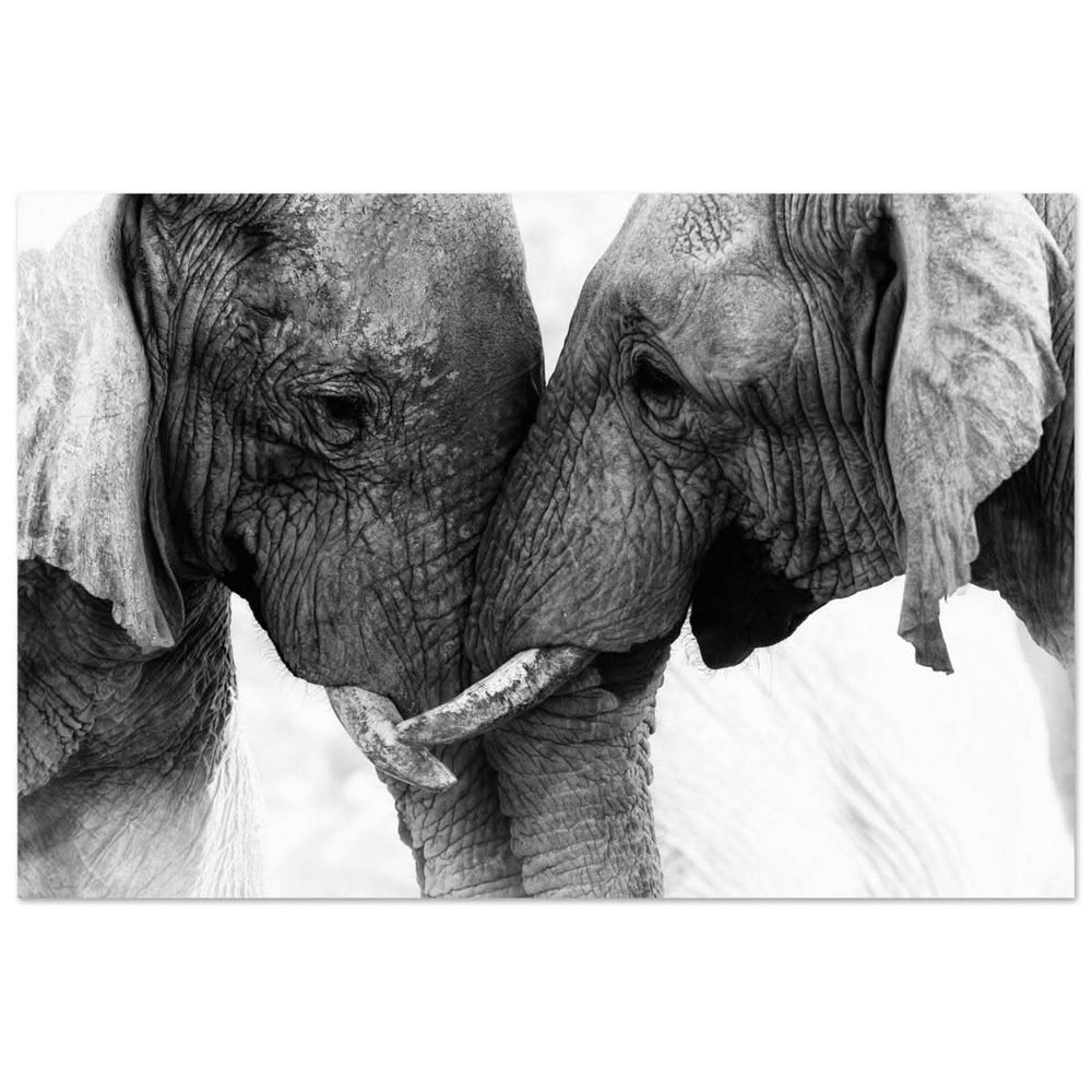 Da Vinci Animal Kingdom Art Wall art print | Elephant Love - Aluminum Print - 60x90 cm / 24x36″ -