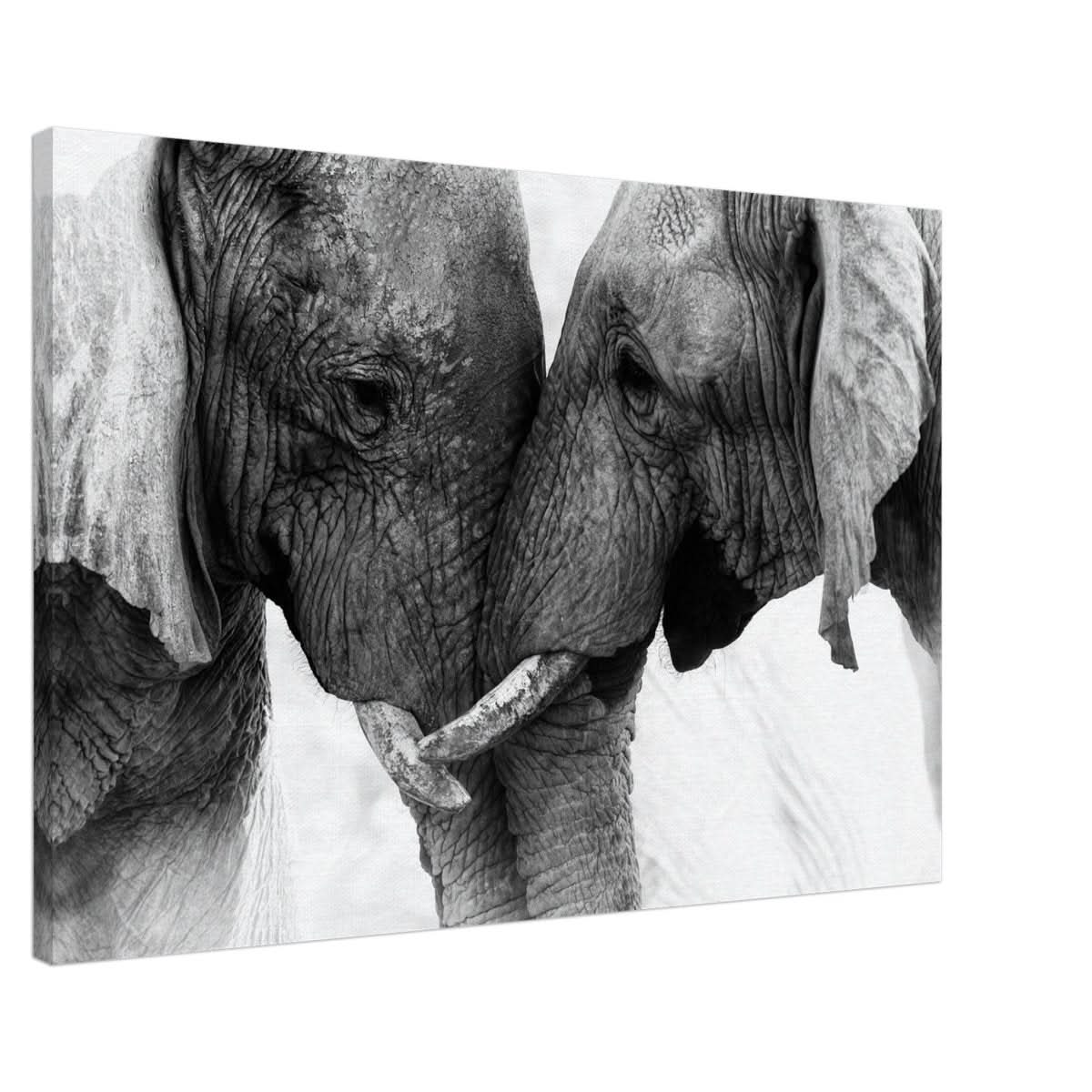 Da Vinci Animal Kingdom Art Wall art print | Elephant Love - Canvas - 60x90 cm / 24x36″ -