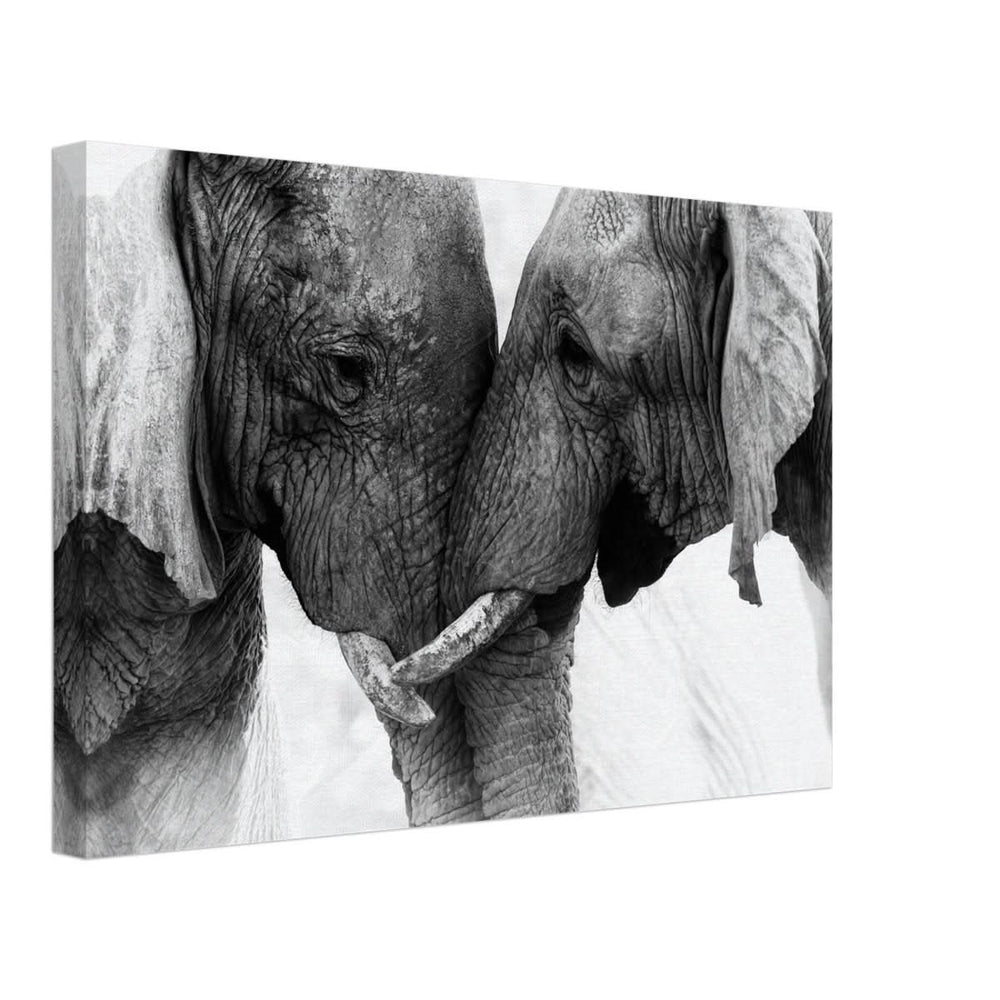 Da Vinci Animal Kingdom Art Wall art print | Elephant Love - Canvas - 30x45 cm / 12x18″ -