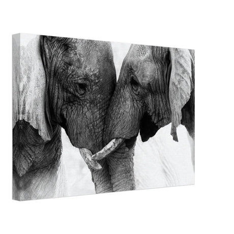 Da Vinci Animal Kingdom Art Wall art print | Elephant Love - Canvas - 30x45 cm / 12x18″ -