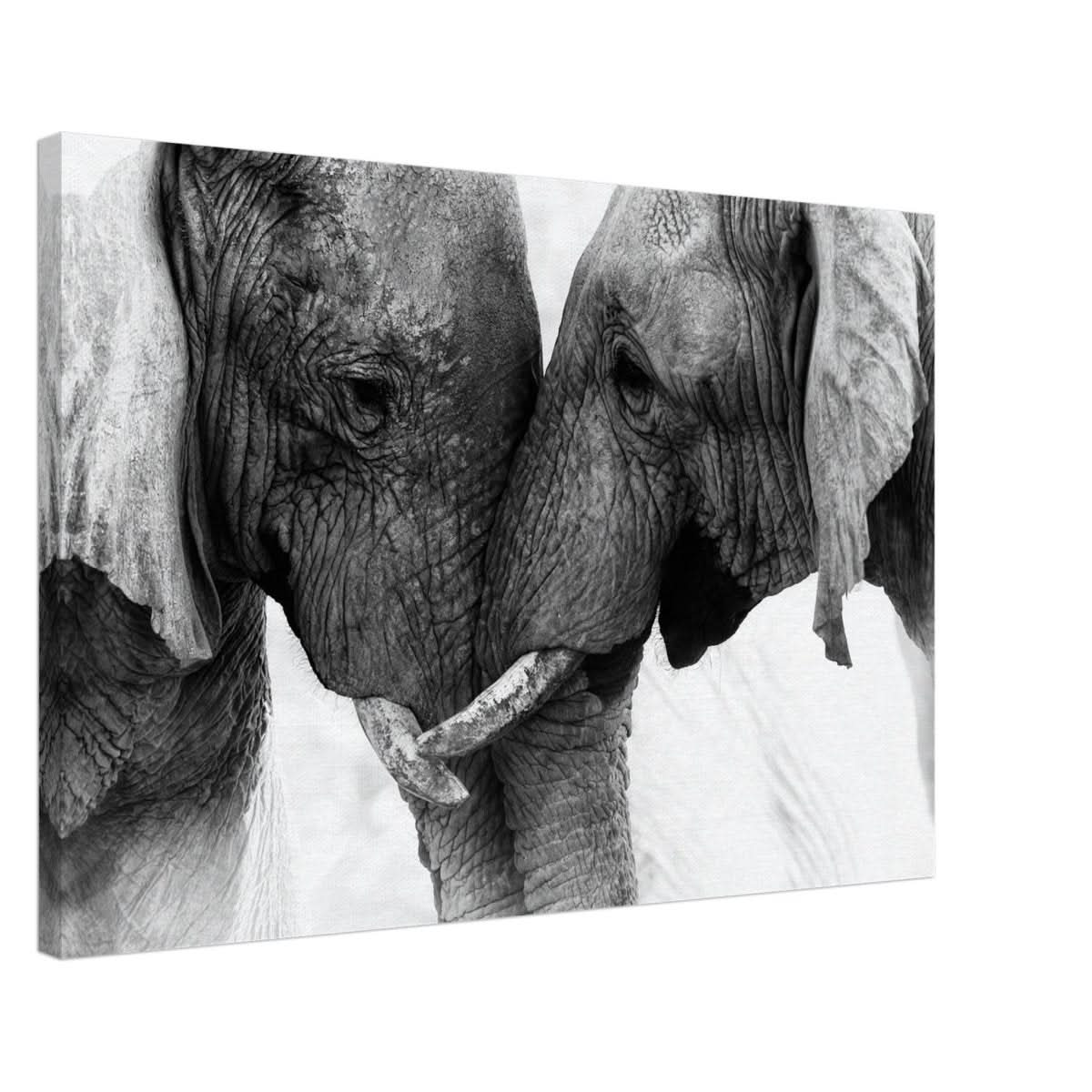 Da Vinci Animal Kingdom Art Wall art print | Elephant Love - Canvas - 50x75 cm / 20x30″ -