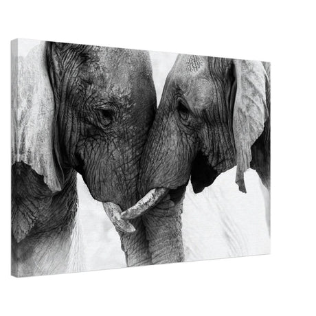 Da Vinci Animal Kingdom Art Wall art print | Elephant Love - Canvas - 50x75 cm / 20x30″ -