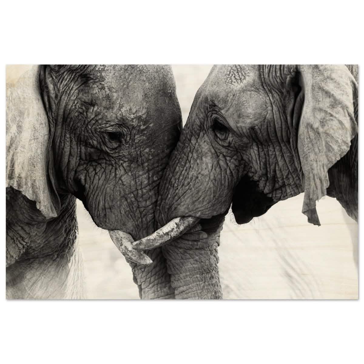 Da Vinci Animal Kingdom Art Wall art print | Elephant Love - Wood Prints - 30x45 cm / 12x18″ -
