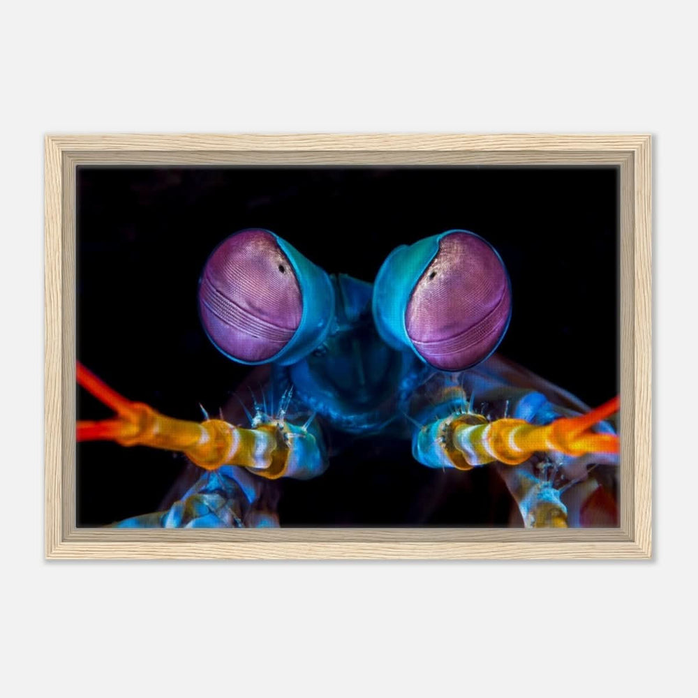 Da Vinci Animal Kingdom Art Wall art print | Eyes of Peacock mantis shrimp - Framed Canvas - 30x45 cm / 12x18″ - Wood frame