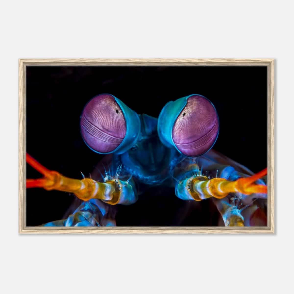 Da Vinci Animal Kingdom Art Wall art print | Eyes of Peacock mantis shrimp - Framed Canvas - 60x90 cm / 24x36″ - Wood frame