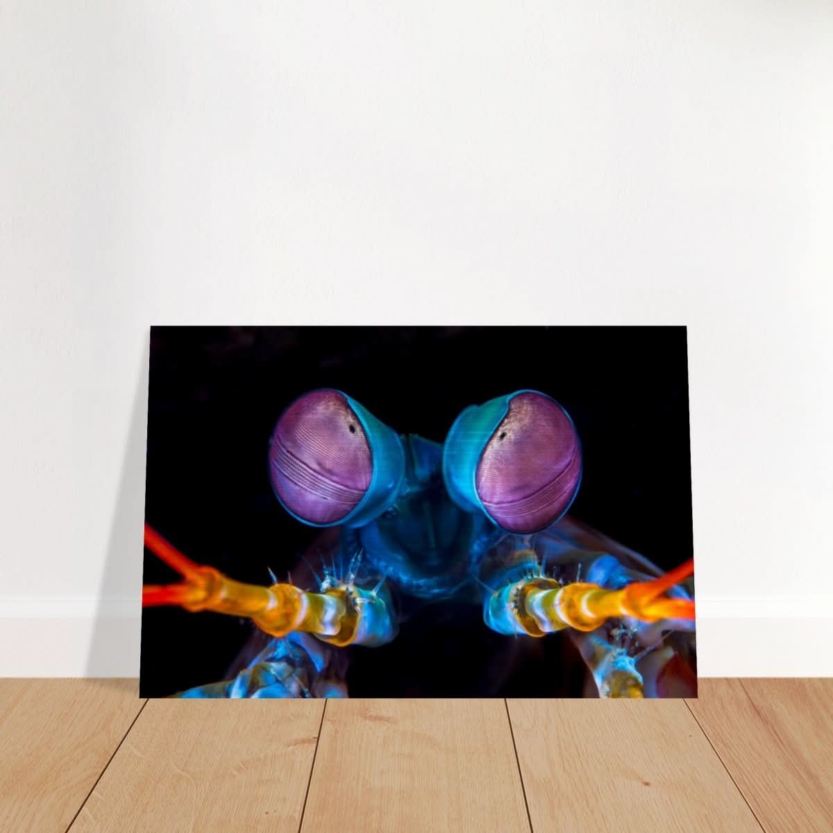 Da Vinci Animal Kingdom Art Wall art print | Eyes of Peacock mantis shrimp - Brushed Aluminum Print - 30x45 cm / 12x18″ -