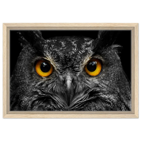 Da Vinci Animal Kingdom Art Wall art print | Night Owl eyes - Framed Canvas - 30x45 cm / 12x18″ - Wood frame