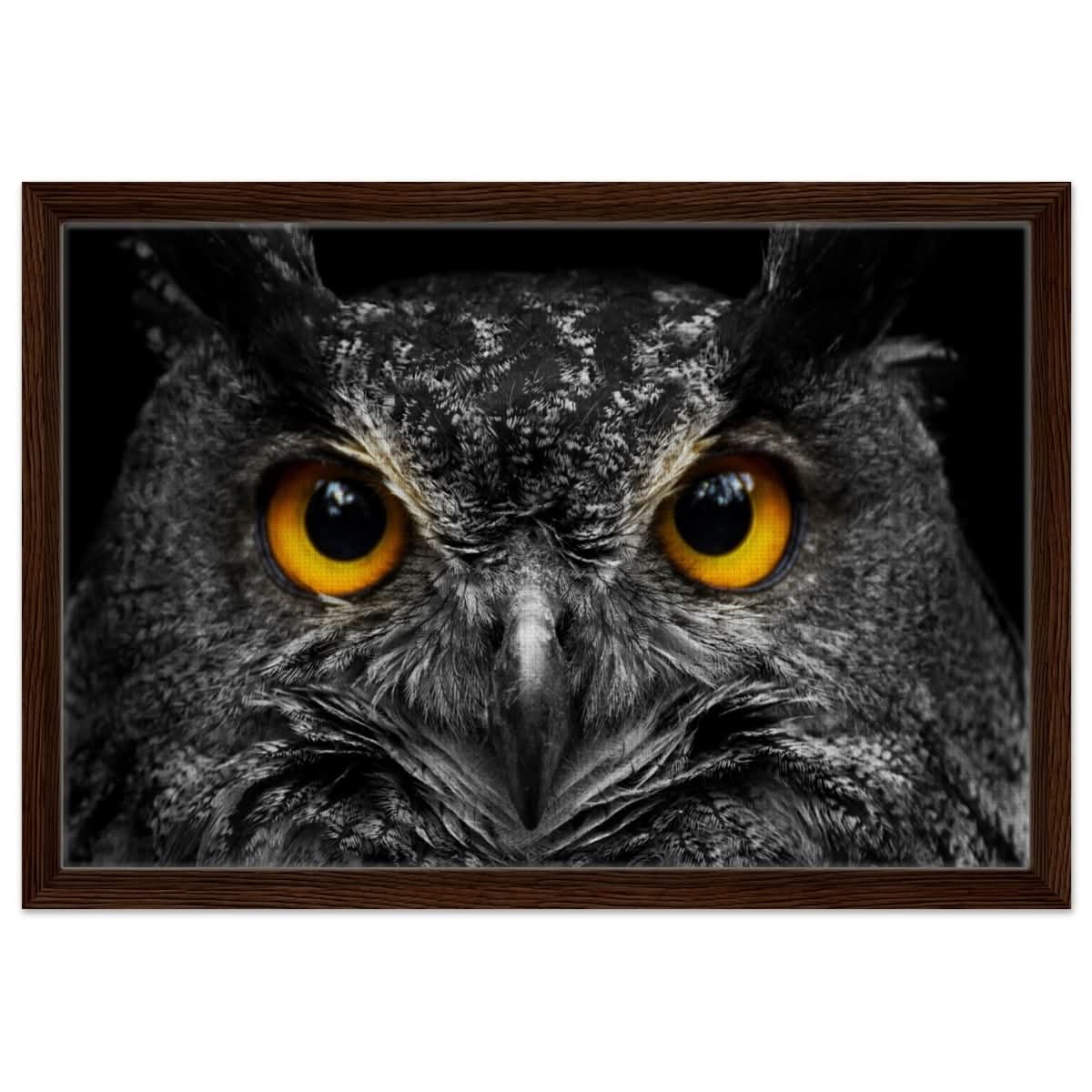 Da Vinci Animal Kingdom Art Wall art print | Night Owl eyes - Framed Canvas - 40x60 cm / 16x24″ - Dark wood frame
