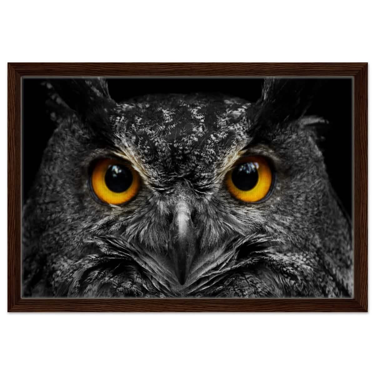 Da Vinci Animal Kingdom Art Wall art print | Night Owl eyes - Framed Canvas - 40x60 cm / 16x24″ - Dark wood frame