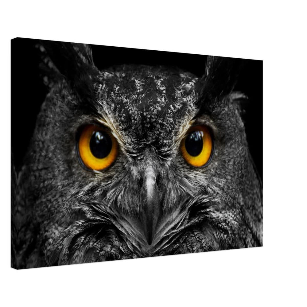Da Vinci Animal Kingdom Art Wall art print | Night Owl eyes - Canvas - 50x75 cm / 20x30″ -