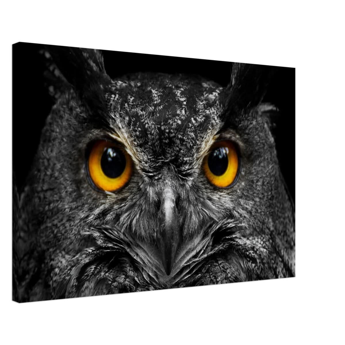 Da Vinci Animal Kingdom Art Wall art print | Night Owl eyes - Canvas - 50x75 cm / 20x30″ -