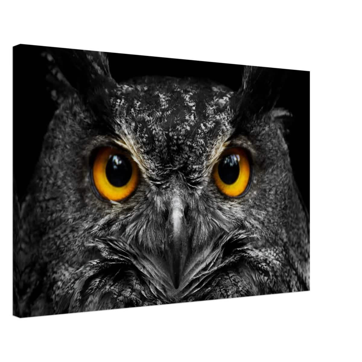 Da Vinci Animal Kingdom Art Wall art print | Night Owl eyes - Canvas - 50x75 cm / 20x30″ -
