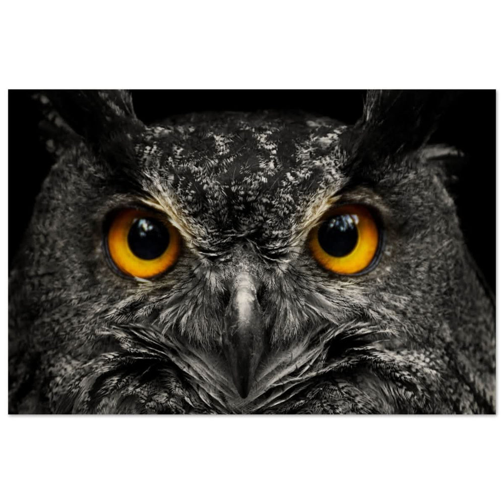 Da Vinci Animal Kingdom Art Wall art print | Night Owl eyes - Wood Prints - 30x45 cm / 12x18″ -