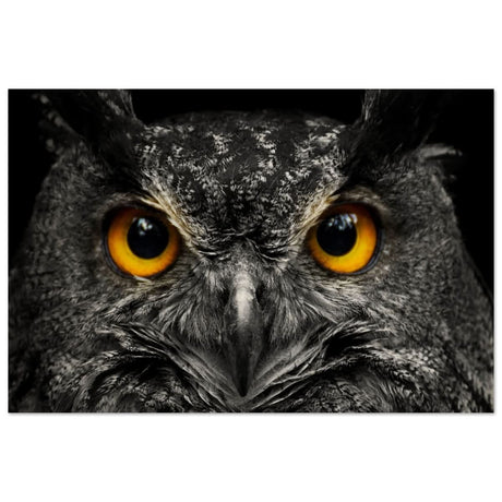 Da Vinci Animal Kingdom Art Wall art print | Night Owl eyes - Wood Prints - 30x45 cm / 12x18″ -