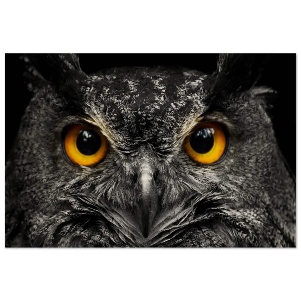 Da Vinci Animal Kingdom Art Wall art print | Night Owl eyes - Wood Prints - 30x45 cm / 12x18″ -
