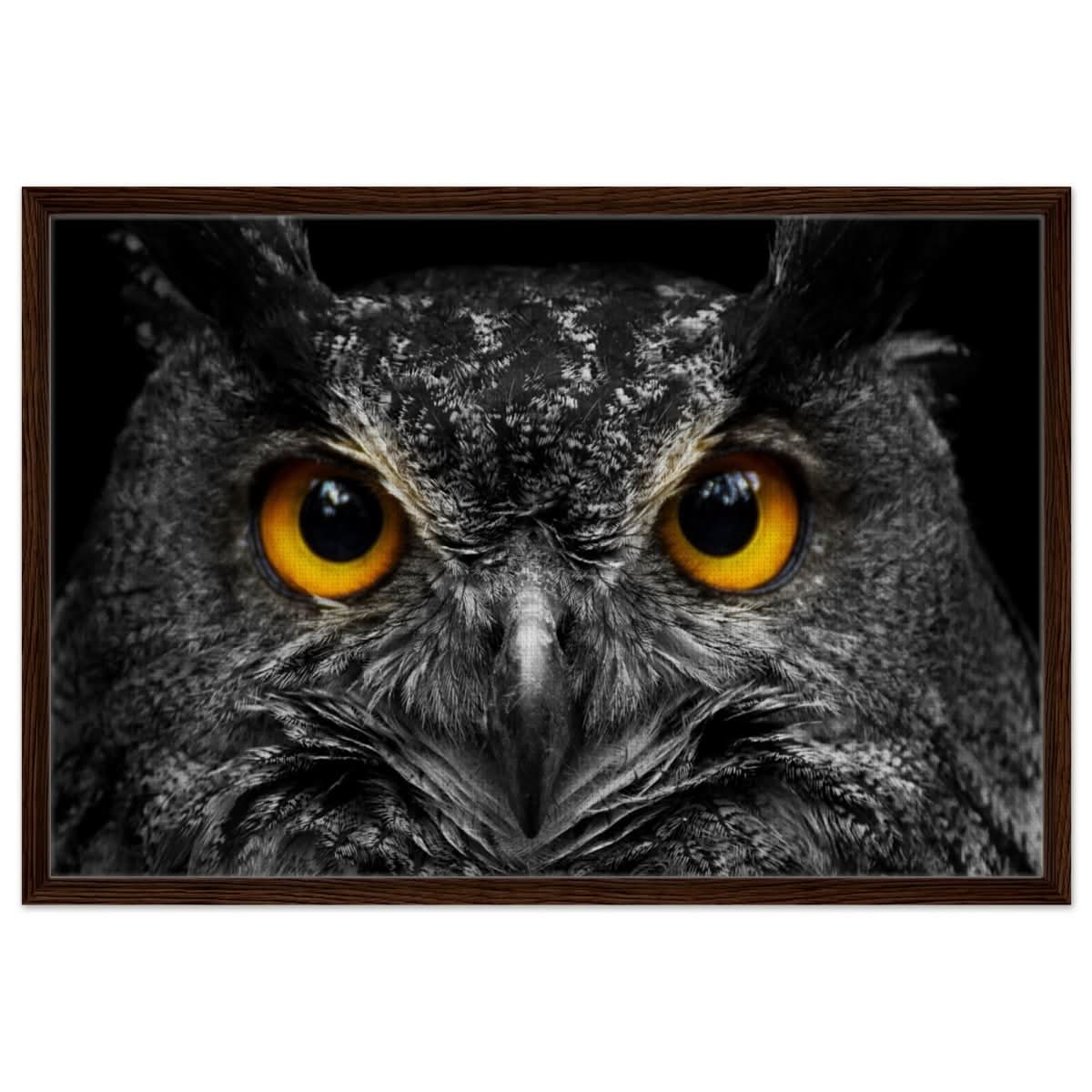 Da Vinci Animal Kingdom Art Wall art print | Night Owl eyes - Framed Canvas - 60x90 cm / 24x36″ - Dark wood frame