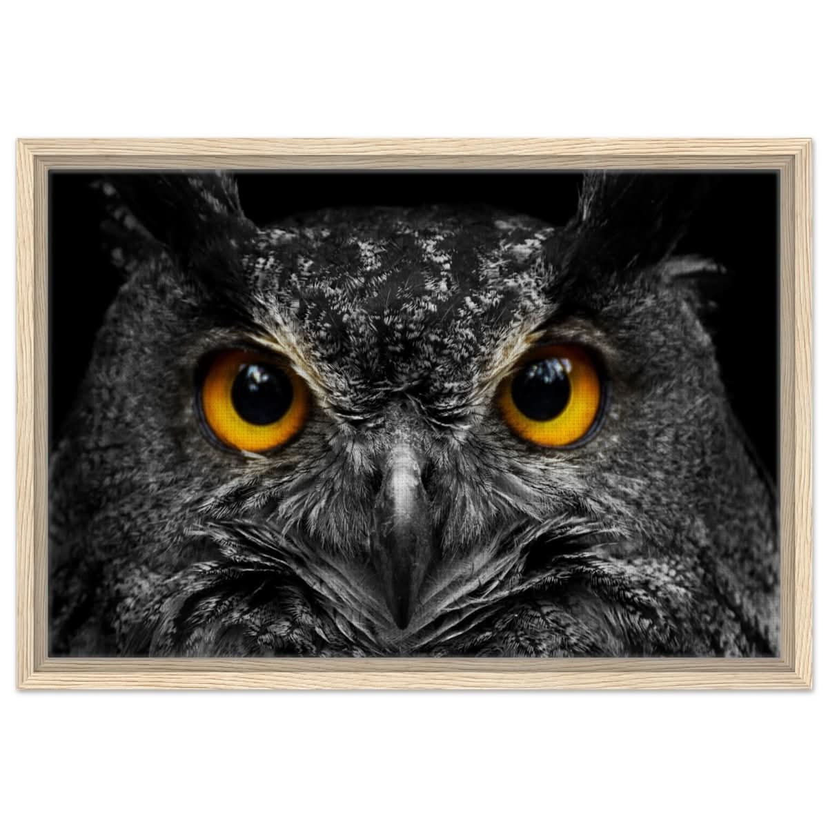 Da Vinci Animal Kingdom Art Wall art print | Night Owl eyes - Framed Canvas - 40x60 cm / 16x24″ - Wood frame