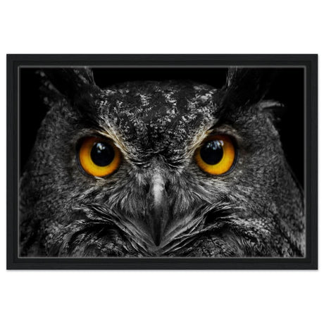 Da Vinci Animal Kingdom Art Wall art print | Night Owl eyes - Framed Canvas - 40x60 cm / 16x24″ - Black frame